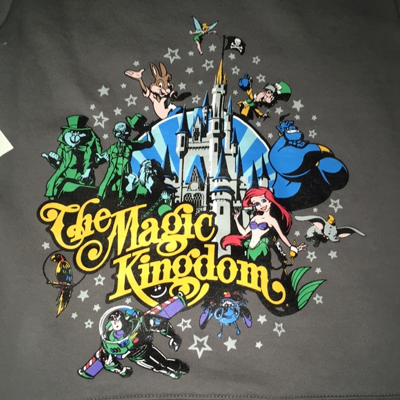 *SOLD* Walt Disney World Magic Kingdom Hoodie - Picture 3 of 5